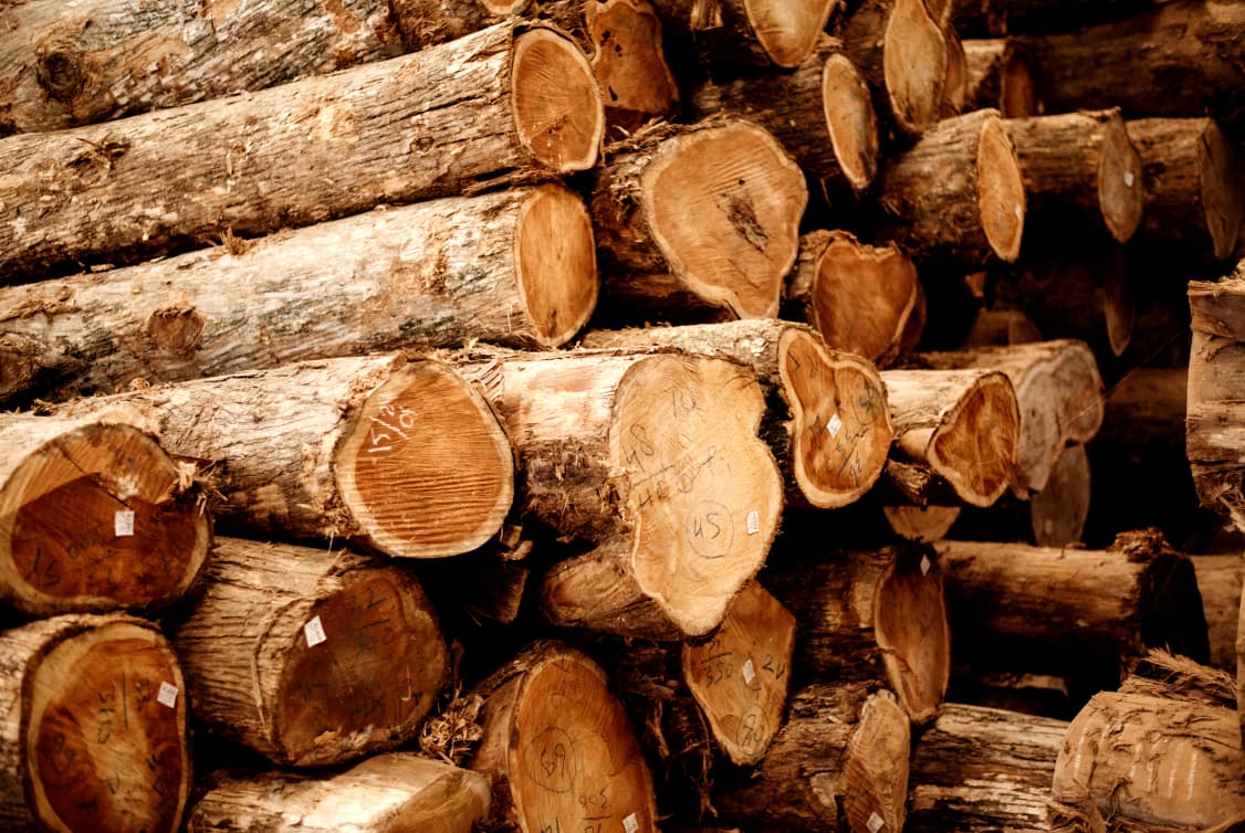 logs