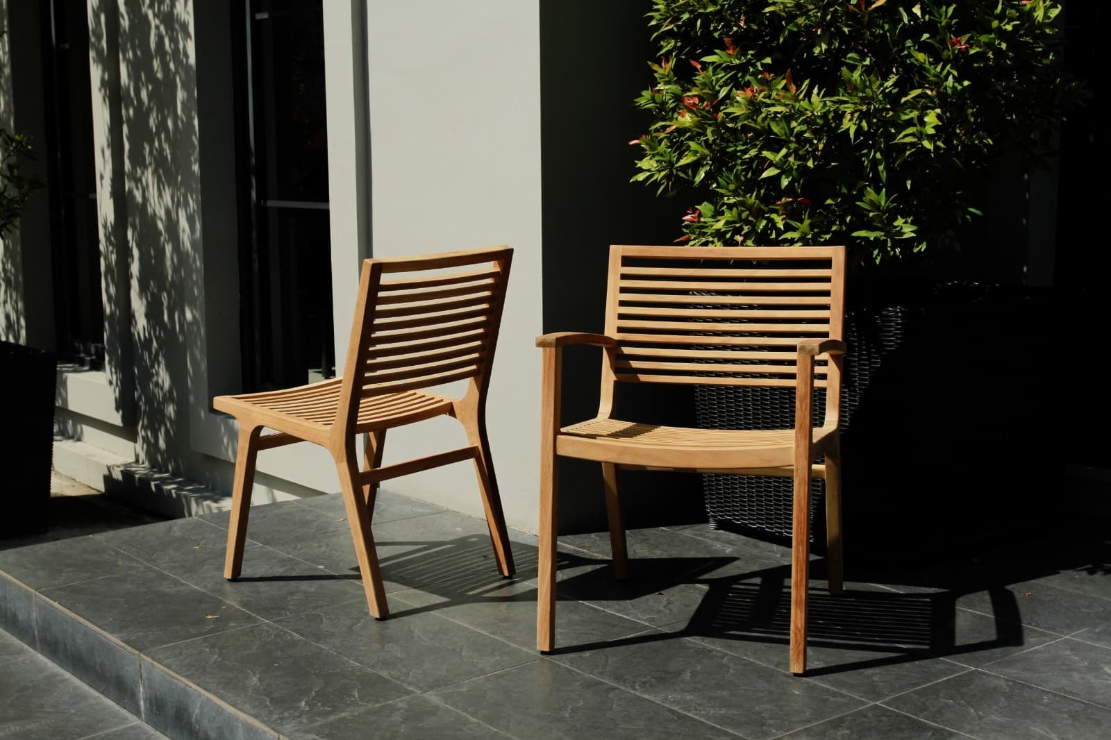 bern-teak